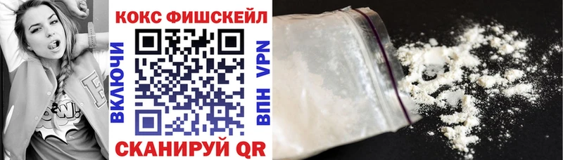 Купить где  Куртамыш  COCAIN FishScale 