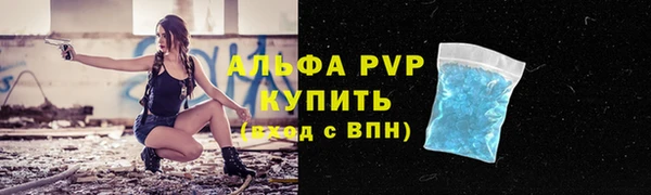 амф Липки