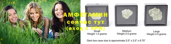 амф Липки